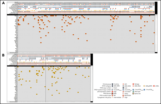 Landscape of comutations in TP53-mutant AML. (A) Untreated (FL). (B) Treated-secondary FL and salvage.
