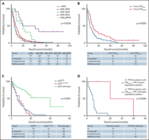 Kaplan-Meier curves showing outcomes of FL patients with AML by genotype/phenotype p53 status. (A) OS by diagnostic category among patients with mutant TP53. (B) OS by TP53 CN status among patients with 1 TP53 mutation. (C) OS comparison of patients with AML by p53 protein expression patterns detected by immunohistochemistry. (D) OS comparison by immunohistochemistry-based p53 protein expression pattern among patients with any TP53 mutation and intact TP53 CN. NOS, not otherwise specified; RGA, recurrent genetic alteration.