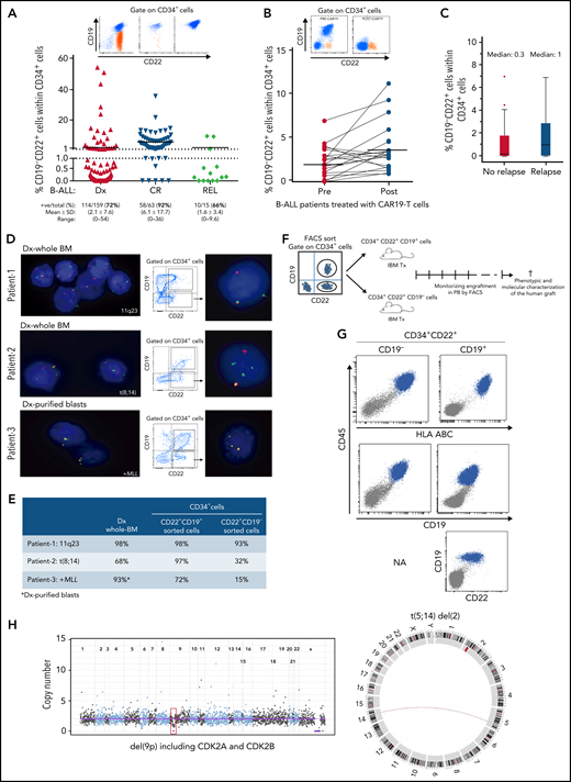 CD34+CD19−CD22+ (pre)-leukemic progenitors are present in patients with B-ALL, harbor the genetic abnormalities present at disease presentation, and initiate leukemogenesis in NSG mice, phenocopying the primary B-ALL sample. (A) Frequency of CD34+CD19−CD22+ cells in nonmatched samples from patients with B-ALL at diagnosis (n = 159), CR (n = 63), and relapse (n = 15). The black horizontal line represents the mean. FACS analysis (top) of 3 representative patients with a high proportion (left), low proportion (middle), and absence (right) of CD34+CD19−CD22+ cells. (B) Frequency of CD34+CD19−CD22+ cells in 20 patients with B-ALL before (pre) and after (post, BM day +30) treatment with CD19-directed CAR T-cells. Top panel shows representative FACS analysis of CD22 and CD19 within the gated CD34+ cells from patients with B-ALL before and after CD19-directed CAR T-cell infusion. Orange dots identify CD34+CD19−CD22+ cells. (C) Frequency of CD34+CD19−CD22+ cells in 53 patients with R/R B-ALL treated with CD19-directed immunotherapy (n = 37 CD19−CAR T-cells; n = 16 blinatumomab) who did or did not have a relapse after a median follow-up of 24 months. (D) Representative FISH analysis performed in flow-sorted CD34+CD19-CD22+ and CD34+CD19+CD22+ cells from 3 patients with B-ALL revealing the presence of the diagnostic genetic abnormality in preleukemic CD34+CD19−CD22+ progenitors. (E) Summary of the FISH analysis in diagnosed whole-BM and flow-sorted CD34+CD19−CD22+ and CD34+CD19+CD22+ cells. (F) Scheme of the experimental plan designed to study the ability of the preleukemic CD34+CD19−CD22+ progenitors and the bona fide CD34+CD19+CD22+ blasts to initiate B-ALL in vivo in NSG mice. Leukemic onset was evaluated every other week by PB bleeding. When leukemia was evident, mice were euthanized and the leukemic cells were characterized by FACS immunophenotyping and by NGSeq/Bionano technology to confirm the presence of the patient-specific genetic/molecular diagnostic alterations. (G) Representative B-ALL engraftment in mouse transplant recipients of CD34+CD19−CD22+ or CD34+CD19+CD22+ B-ALL cells. Blue cells represent the CD45+HLA−ABC+ human graft. (H) Targeted NGSseq (left) and circus plot from Bionano (right) confirming the identity of the B-ALL graft from CD34+CD19−CD22+ cells. NGSeq, next generation sequencing.