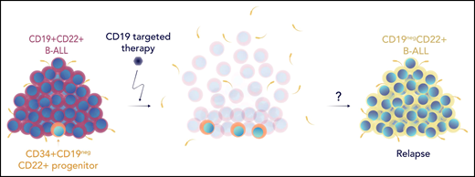 The figure shows leukemia cells lumped together in the form of a haystack, layered as if it is a developmental pathway with a single cell, showing CD34+CD19negCD22+ at the bottom.