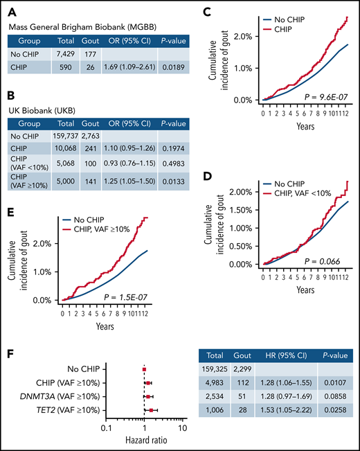 CHIP is associated with increased risk of gout. (A) Association between CHIP and gout in the MGBB. Generalized linear model adjusting for age deciles and sex was used to calculate OR and 95% CI. Individuals without CHIP were used as reference group. (B) Association between CHIP and gout in the UKB. Generalized linear model adjusting for age deciles, sex, WBC, eGFR, and BMI was used to calculate OR and 95% CI. Individuals without CHIP were used as reference group. (C) Cumulative incidence of gout in individuals with and without CHIP in UKB. Individuals were identified as events at the time of gout diagnosis and censored at the end of follow-up, at the time of death, or at the time of hematologic malignancy diagnosis. (D) Cumulative incidence of gout among individuals without CHIP and CHIP with VAF <10% in UKB. Individuals were identified as events at the time of gout diagnosis and censored at the end of follow-up, at the time of death, or at the time of hematologic malignancy diagnosis. (E) Cumulative incidence of gout among individuals without CHIP and CHIP with VAF ≥10% in UKB. Individuals were identified as events at the time of gout diagnosis and censored at the end of follow-up, at the time of death, or at the time of hematologic malignancy diagnosis. (F) Forest plot of HR for the association between CHIP and gout in the UKB. Cox proportional hazards model adjusting for age deciles, sex, WBC, eGFR, and BMI was used to calculate HR and 95% CI. Individuals without CHIP were used as reference group.