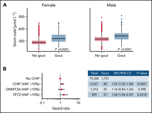 CHIP increases risk of gout in the presence of elevated serum urate levels. (A) Association between serum urate levels and gout diagnosis in males and females. P values were computed using Wilcoxon rank-sum test. (B) Forest plot of HR for the association between CHIP and gout. This analysis included individuals with serum urate levels above the median of UKB. Cox proportional hazards model adjusting for age deciles, sex, WBC, eGFR, and BMI was used to calculate HR and 95% confidence intervals (95% CI). Individuals without CHIP were used as reference group.