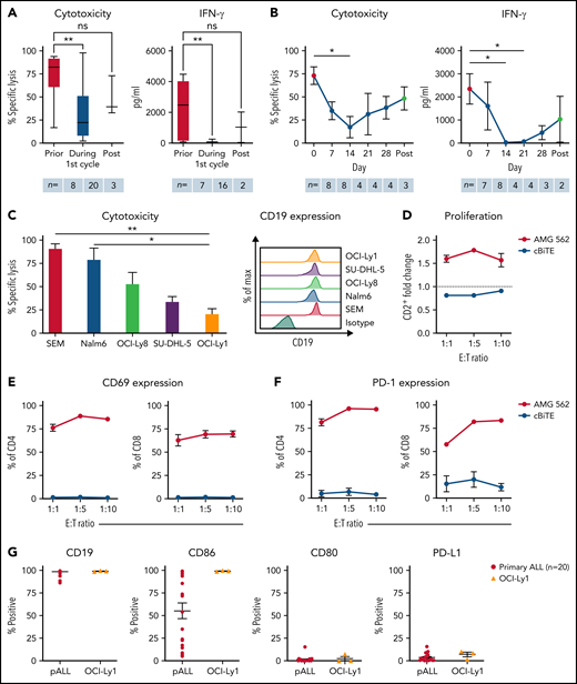 T cells of blinatumomab-treated ALL patients show signs of exhaustion ex vivo. (A) Blinatumomab-mediated cytotoxicity (n = 8–20) on day 3 and IFN-γ secretion (n = 7–16) on day 6 of T cells against REH cells (blinatumomab/control BiTE = 0.5 ng/mL, E:T = 1:3). The T cells were isolated from ALL patients prior to (“pre”), during and after the first cycle of blinatumomab therapy. (B) Blinatumomab-mediated cytotoxicity (n = 3–8) on day 3 and IFN-γ secretion (n = 2–8) on day 6 of T cells against REH cells (blinatumomab/control BiTE = 0.5 ng/mL, E:T = 1:3). The T cells were isolated from ALL patients at different timepoints during the first cycle of blinatumomab therapy. (C) AMG 562-mediated cytotoxicity (n = 3–6) and of HD T cells against ALL (SEM, Nalm6) and diffuse large B cell lymphoma (OCI-Ly8, SU-DHL-5, OCI-Ly1) cell lines (supplemental Table 1) after 4 days (AMG 562/control BiTE = 5 ng/mL, E:T = 1:3). Representative histograms of CD19 expression on ALL and diffuse large B cell lymphoma cell lines are shown. (D) CD2+ fold change (n = 3) of HD T cells and (E-F) percentage of CD69+ and PD-1+ among CD4+ and CD8+ T cells after 3 days of cytotoxicity assay (AMG 562/control BiTE = 5 ng/mL) against OCI-Ly1 cells; n = 3. (G) Percentage of CD19+, CD86+, CD80+, and PD-L1+ primary ALL (n = 20) and OCI-Ly1 cells (n = 3). Boxplot whiskers indicate minima and maxima, and boxes represent the lower quartile, the median, and the upper quartile. All other graphs present mean ± SEM values. Statistical analysis: Kruskal–Wallis and Dunn’s multiple comparison test (A–C); nsP > .05; *P < .05; **P < .01. ALL, acute lymphoblastic leukemia; cBiTE, control BiTE, bispecific control construct; E:T, effector/target ratio; HD, healthy donor; ns, not significant; pALL, primary ALL; ± SEM, standard error of the mean.