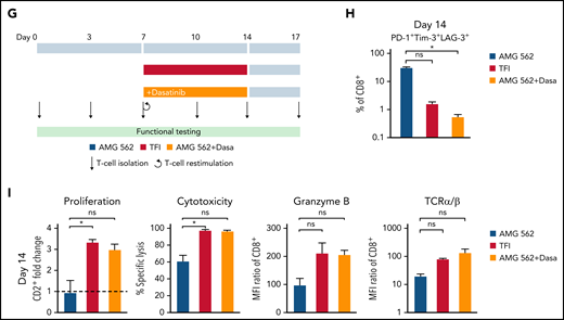 TFIs reinvigorate T-cell function. (A) Timeline of continuous vs TFI T-cell stimulation with AMG 562 over 28 days. (B) Percentage of CD8+ T cells coexpressing PD-1, Tim-3, and LAG-3; n = 6. The spider plot (right) indicates coexpression on day 28 in continuously stimulated vs rested T cells from 1 representative donor. (C) Cytokine levels determined by CBA in coculture supernatants on day 17; n = 6. (D) Percentage of IFN-γ and TNF-α double-positive CD4+ and CD8+ T cells after PMA/ionomycin restimulation on day 28 of coculture; n = 3. Representative plots of CD8+ T cells from 1 donor are shown. (E) AMG 562-mediated CD2+ fold change (n = 3), cytotoxic capacity against hCD19-Ba/F3 cells (n = 6) and granzyme B expression (n = 6) of isolated T cells after 14 or 28 days of coculture. (F) TCR expression of T cells (n = 3) quantified by immunophenotyping during coculture. (G) Timeline of AMG 562+dasatinib-mediated T-cell stimulation in comparison with continuous or TFI stimulation over 17 days. Dasatinib = 100 nM. (H) Percentage of CD8+ T cells coexpressing PD-1, Tim-3, and LAG-3; n = 3. (I) T-cell proliferation, cytotoxicity, Granzyme B, and TCR expression; n = 3. Boxplot whiskers indicate minima and maxima, and boxes represent the lower quartile, the median, and the upper quartile. Bar graphs present mean ± SEM values. Statistical analysis: 2-way ANOVA and Sidak’s multiple comparison test (B,C,E-F,H–I); nsP > .05; *P < .05; **P < .01; ***P < .001; ****P < .0001. CBA, cytometric bead array; LAG-3, lymphocyte activation gene 3; ns, not significant; PD-1, programmed cell death protein 1; PMA, phorbol myristate acetate; ± SEM, standard error of the mean; TCR, T-cell receptor; TFI(s), treatment-free interval(s).