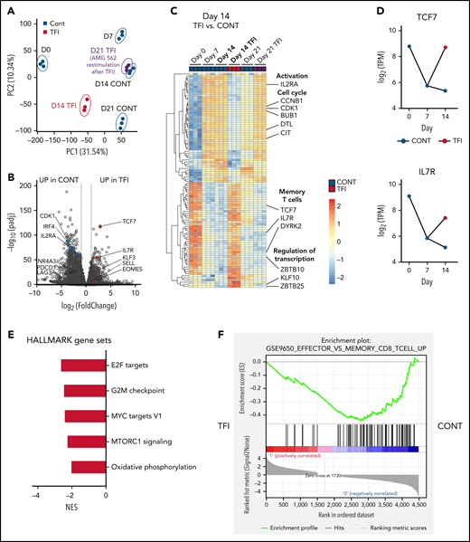 T cells are transcriptionally reprogrammed during TFIs. (A) Principal component analysis. (B) Volcano plot of day 14 TFI vs CONT T cells; Padj < .05. Selected genes are highlighted as significantly downregulated (blue) or significantly upregulated (red) in TFI vs CONT cells. (C) Heatmap with hierarchical clustering of the top 100 differentially expressed genes in day-14 TFI vs CONT T cells; Padj < .05. Selected genes are highlighted. (D) Log2(TPM) expression level of TCF7 and IL7R across timepoints 0, 7, and 14 days in TFI vs CONT T cells. (E) Pathways enriched in day-14 TFI vs CONT T cells; Padj < .05. (F) Gene set enrichment analysis of day-14 TFI vs CONT T cells using MSigDB and the gene set GSE9650_EFFECTOR_VS_MEMORY_CD8_TCELL_UP.29 Line plots present mean ± SEM values. CONT, continuously; NES, normalized enrichment score; ±SEM, standard error of the mean; TFI(s), treatment-free interval(s).