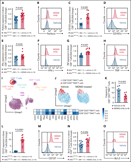 MDM2 inhibition promotes cytotoxicity and longevity of donor T cells. (A-H) Scatterplots and representative histograms show expression of (A-B) perforin, (C-D) CD107a, (E-F) IFN-γ, and (G-H) TNF of CD8+ T cells isolated from the spleen on day 12 following allo-HCT of WEHI-3B leukemia-bearing BALB/c mice transplanted with C57BL/6 BM plus allogeneic C57BL/6 T cells and treated with either vehicle or MDM2 inhibitor RG-7112. Mean value ± standard error of the mean (SEM) from n = 14 to 19 biologically independent animals per group from 2 experiments are shown, and P values were calculated using the 2-sided Mann-Whitney U test. (I) UMAP showing the FlowSOM-guided manual metaclustering of splenic live CD45+ cells from leukemia-bearing BALB/c mice after allo-HCT. (J) UMAP showing the FlowSOM-guided manual metaclustering (top) and heatmap showing median marker expression (bottom) of donor-derived (H-2kb+) TCRβ+ CD8+ T cells from leukemia-bearing BALB/c mice after allo-HCT treated with RG-7112 or vehicle, as indicated. (K) Quantification of donor-derived (H-2kb+) TCRβ+ CD8+ CD27+ TIM3+ T cells from leukemia-bearing BALB/c mice after allo-HCT treated with RG-7112 or vehicle, as indicated. (L-O) Scatterplots and representative histograms show expression of (L-M) CD127 and (N-O) Bcl-2 of CD8+ T cells isolated from spleen on day 12 following allo-HCT of WEHI-3B leukemia-bearing BALB/c mice transplanted with C57BL/6 BM plus allogeneic C57BL/6 T cells and treated with either vehicle or MDM2 inhibitor RG-7112. Mean value ± SEM from n = 14 to 19 biologically independent animals per group from 2 experiments are shown. P value was calculated using the 2-sided Mann-Whitney U test.