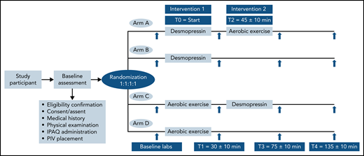 Participant enrollment and randomization.