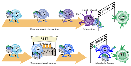 TFIs improve the therapeutic efficacy of T-cell engagers. The sketch summarizes the main findings from the Zieger et al study. (Top) Continuous exposure of T cells (represented by the blue character) to BsAbs (in the backpack) leads to progressive impairment of their function, exhaustion, and ultimately, to their inability to kill tumor cells. (Bottom) Implementation of TFIs in the therapeutic program allows preservation of function, improves metabolic fitness, and overall favors long-term disease control. Professional illustration by Somersault18:24.