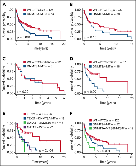 Prognostic significance of DNMT3A mutations in peripheral T-cell lymphoma entities. (A) Kaplan-Meier curve of the OS of DNMT3A-MT and WT cases for the entire PTCL cohort. All patients were treated with a CHOP-based regimen. (B) OS for DNMT3A-MT and WT cases for PTCLs of TFH origin (AITL n = 89, PTCLTFH-like = 15). (C) OS for DNMT3A-MT and WT cases for PTCL-GATA3. (D) OS for DNMT3A-MT and WT cases for PTCL-TBX21. (E) OS comparison of PTCL-TBX21 and PTCL-GATA3 cases with respect to DNMT3A mutation status. (F) OS of DNMT3A mutants within the dimerization region (881-887), other DNMT3A mutants, and WT cases for the entire PTCL cohort. MT, mutant.