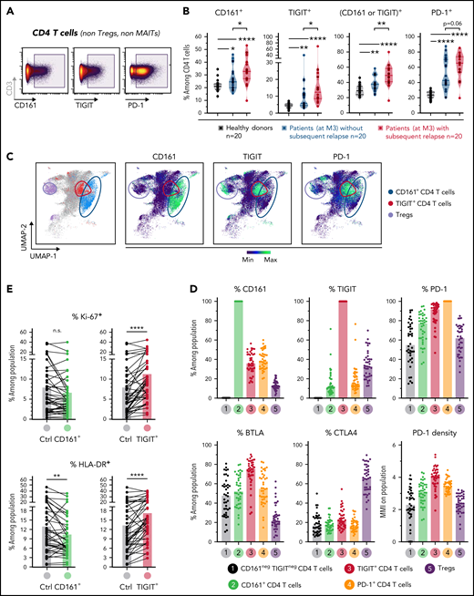 Characterization and clinical relevance of CD161+ and TIGIT+ CD4 T cells. (A) Representative gating of CD161+, TIGIT+, and PD-1+ CD4 T cells (after exclusion of Treg and MAIT cells). (B) Percentage of cells (non-Treg/non-MAIT) expressing CD161, TIGIT, at least CD161 or TIGIT (Boolean gating), or PD-1, among total CD4 T cells from healthy donors (n = 20), or from patients (at month 3 after allo-HSCT) with persistent remission (n = 20) or with subsequent tumor relapse (n = 20). (C) Uniform Manifold Approximation and Projection (UMAP) plots showing total CD4 T-cell clustering. Outlined cell subsets (from manual gating) are colored, whereas the ungated CD4 T cells are shown in gray (left). Expression levels of CD161, TIGIT and PD-1 are depicted (right), showing a poor overlap between CD161+ and TIGIT+ cells, but a strong overlap between TIGIT+ and PD-1high cells. (D) Frequencies of cells expressing various IRs among the indicated CD4 T-cell subsets. PD-1 cell surface density is also shown (expressed as median metal intensity, MMI) (bottom right). (E) Frequencies of HLA-DR+ and intranuclear Ki-67+ cells among CD161- and TIGIT-expressing CD4 T cells, compared with control (ctrl) cells that do not express CD161 and TIGIT. (F) Frequencies of CD161+ and TIGIT+ CD4 T cells were compared with regard to sex and various clinical parameters (ie, conditioning regimen, donor type, CMV reactivation, and acute GVHD). RIC, reduced intensity conditioning; MAC, myeloablative conditioning; MRD, matched related donor; MUD, matched unrelated donor. (G) FlowSOM clustering of PBMCs from the 40 patients at M3 after HSCT was performed based on lineage-defining markers (supplemental Figure 4). Frequencies of cluster 34 (left; corresponding to CD161+ CD4 T cells) among CD4 T cells, in nonrelapsing and relapsing patients. Relapse-free survival (RFS; right) assessed using the Kaplan-Meier approach in patients with high (>22%) vs low (<22%) frequencies of C34 in CD4 T cells. Censored patients are represented by symbols. P values by Mann-Whitney (B,F,G), Wilcoxon (E), or log-rank (G) tests: *P < .05; **P < .01; ****P < .0001.