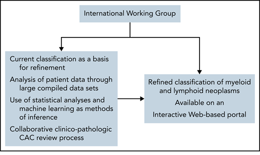 A potential strategy for refining the classification of hematologic neoplasms to improve patient care through the implementation of precision treatments. The different processes could be coordinated by an International Working Group (IWG), which would oversee the classification. The current International Consensus classification, with its strong morphology component, will represent a basis for refinement. Access to patient data would be important for allowing the use of various methods of inference aimed at identifying distinct disease subgroups. A collaborative clinico-pathologic CAC review process will provide a mechanism to update pathologic and genomic criteria within clinical context. An interactive Web-based portal, also accessible through a mobile app, would make the classification more immediately available to the scientific community.
