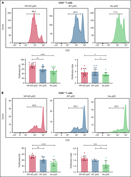 VIP limits T-cell proliferation and Th1 polarization of T cells in vitro. (A-B) pDCs isolated from B6 and VIP-KO marrow by FACS were activated with R848 and CpG for 24 hours, followed by coculturing with syngeneic T cells for 72 hours at a pDC:T-cell ratio of 1:10. CD4+ and CD8+ T-cell proliferation was analyzed by CFSE (carboxyfluorescein diacetate succinimidyl ester) dilution using flow cytometry. Representative histograms for CFSE dilution and mean values of the fraction of proliferated cells and the proliferation index. Two independent experiments that included 3 biological replicates per group with a total of n = 14 technical replicates in the VIP-KO pDC group, n = 10 in the wild-type pDC group, and n = 14 in the no pDC group. (A) Proliferation for activated CD4+ T cells. (B) Proliferation for activated CD8+ T cells. (C-D) Representative flow plots of IFN-γ expression on CD4+ T cells (C) and CD8+ T cells (D) analyzed by flow cytometry after intracellular staining. (E-F) Representative flow plots of IFN-γ and TNF-α coexpression on CD4+ T cells and CD8+ T cells based on 2 independent experiments that each included 2 biological replicates with a total of 8 technical replicates for each group. Statistics: 2-tail unpaired Student t test, *P < .05, **P < .01, ***P < .001, ****P < .0001.