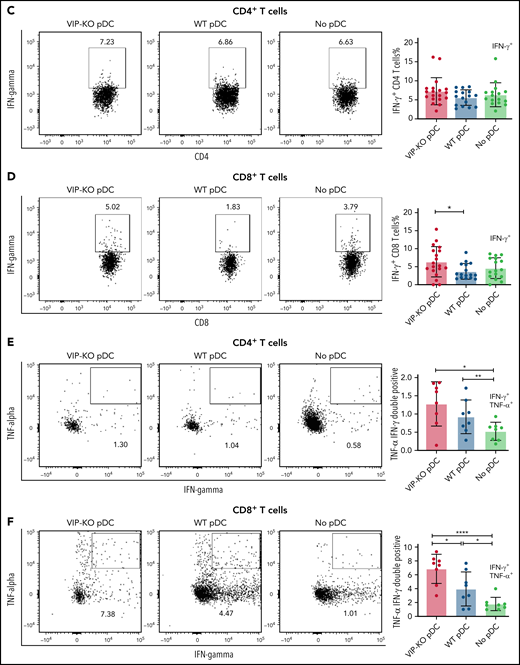 VIP limits T-cell proliferation and Th1 polarization of T cells in vitro. (A-B) pDCs isolated from B6 and VIP-KO marrow by FACS were activated with R848 and CpG for 24 hours, followed by coculturing with syngeneic T cells for 72 hours at a pDC:T-cell ratio of 1:10. CD4+ and CD8+ T-cell proliferation was analyzed by CFSE (carboxyfluorescein diacetate succinimidyl ester) dilution using flow cytometry. Representative histograms for CFSE dilution and mean values of the fraction of proliferated cells and the proliferation index. Two independent experiments that included 3 biological replicates per group with a total of n = 14 technical replicates in the VIP-KO pDC group, n = 10 in the wild-type pDC group, and n = 14 in the no pDC group. (A) Proliferation for activated CD4+ T cells. (B) Proliferation for activated CD8+ T cells. (C-D) Representative flow plots of IFN-γ expression on CD4+ T cells (C) and CD8+ T cells (D) analyzed by flow cytometry after intracellular staining. (E-F) Representative flow plots of IFN-γ and TNF-α coexpression on CD4+ T cells and CD8+ T cells based on 2 independent experiments that each included 2 biological replicates with a total of 8 technical replicates for each group. Statistics: 2-tail unpaired Student t test, *P < .05, **P < .01, ***P < .001, ****P < .0001.