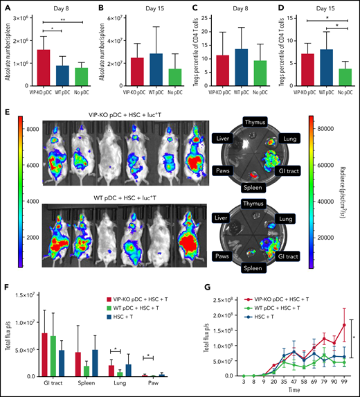 The absence of VIP production by donor pDCs leads to enhanced in vivo expansion and homing of donor T cells to GVHD target organs. (A-D) B10.BR mice were lethally irradiated and transplanted with 5 × 103 FACS-purified HSCs and 106 T cells from C57B/6J donors with 5 × 104 FACS-purified pDCs either from wild-type or from VIP-KO donors. (A-B) Comparisons of the absolute numbers of donor T cells in recipient spleens on day +8 and day +15 after transplant. Seven biological replicates from 2 independent experiments were studied. (C-D) Percentage of donor Tregs on CD4 T cells on day +8 and day +15 posttransplant. Seven or 8 biological replicates from 2 independent experiments were analyzed. (E-G) Bioluminescent imaging images of luc+ T engraftment in allogeneic recipients. Balb/c (H2Kd) recipients were lethally irradiated and injected with 1 × 106 luc+ T cells isolated from C57BL/6J donor mice in combination with 5 × 103 FACS-purified HSCs and either 5 × 104 wild-type pDC or 5 × 104 VIP KO pDC. Left side radiance scale bar (1000 to 10 000 p/sc/cm2/sr) is for the whole-body image; right side radiance scale bar (10 000 to 100 000 p/sc/cm2/sr) is for the organ images (E). Representative bioluminescent imaging images of luc+ donor T cells in Balb/c recipients on day 14. (F) Radiance (p/sc/cm2/sr) of gut, lung, spleen, and paws in Balb/c recipients. N = 6 biological replicates per group, from 2 independent experiments. (G) Total photon flux (p/s) of B10.BR (H2Kk) mice transplanted with 1 × 106 luc+ C57BL/6J T cells in combination with 5 × 103 FACS-purified HSCs and either 5 × 104 wild-type pDC, 5 × 104 VIP KO pDC, or no donor pDC. Serial whole-body images of the same mice were taken at different time points posttransplant. N = 5 nice per group. Statistics: nonparametric Mann-Whitney U test, *P < .05, **P <.01.