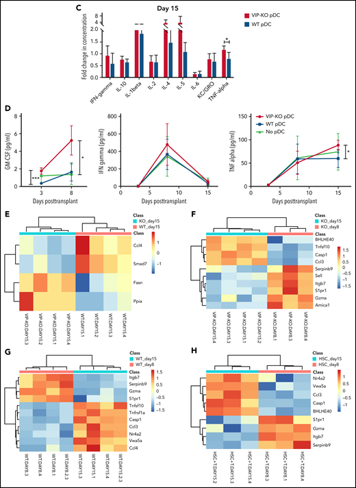 VIP-KO pDCs recipients have higher levels of GM-CSF and inflammatory cytokines in serum and upregulation of inflammatory genes in T cells. (A-H) B10.BR mice were lethally irradiated and transplanted with 5 × 103 FACS-sorted HSCs and 106 T cells from C57B/6J donors along with 5 × 104 FACS-purified wild-type or VIP-KO pDCs. (A-C) Serum samples collected from recipient blood on days +3, +8, and +15 after transplant were assayed for cytokines (Luminex 38 PLEX). Four biological serum replicates were analyzed from days +3 and day +15 mice. Day +8 samples were analyzed in duplicate (2 technical replicates per mouse), with the same panel as day +15. (D) A time course for serial measurements of GM-CSF, IFN-γ, and TNF-α expression in donor T cells collected days +3 to +15 after transplant. Statistics: two-tail unpaired Student t test, *P < .05, **P < .01, ***P < .001. (E-H) Heatmap showing donor T cells RNA expression level from spleen of recipients, day +8 and day +15 after allo-HSCT. Mean log2 expression for each subset is shown. Four biological replicates per group.