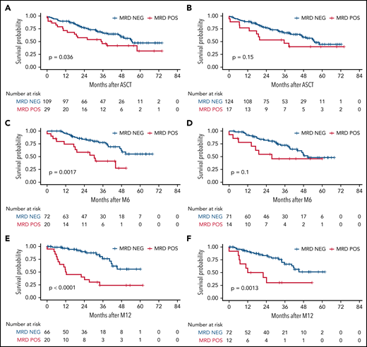 MRD impact on TTP, measured by RQ-PCR. Timepoints after ASCT, M6, and M12 were measured in BM (A,C,E, respectively) and in PB (B,D,F, respectively). M6, 6 months from transplant; M12, 12 months from transplant; NEG, negative; POS, positive.