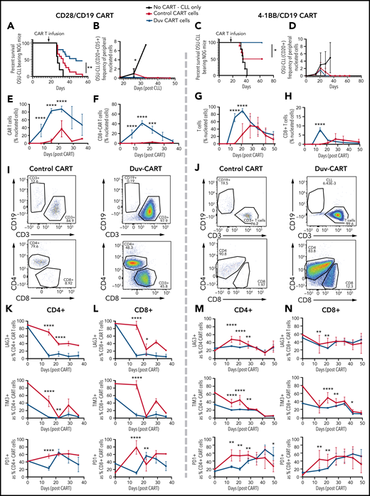 Duv-CART cells conferred a survival advantage in mice bearing intermediate disease burden OSU-CLL. OSU-CLL was engrafted in NOG mice, and upon OSU-CLL (herein called CLL) reaching a mean of 1.2% (CD28/CD19) or 0.15% (41BB/CD19) of nucleated cell content, mice were treated with 1.0 × 106 control CART or Duv-CART cells on days 15 to 18. Data from anti-CD19 CART with a CD28 costimulatory domain (CD28/CD19 CART) are in the left panels, and data from anti-CD19 CART with a 41BB costimulatory domain (41BB/CD19 CART) are shown in the right panels. (A) Kaplan-Meier survival analysis of CD28/CD19 control- and Duv-CART-cell–treated mice. (B) Frequency of CLL cells in peripheral blood, defined by flow cytometry as CD20+CD5+ over time after CLL engraftment. The in vivo expansion of total CART cells (C) and CD8+ CART cells (D) over time since infusion of CART. (CART cells were gated based on expression of GFP.) (E) Representative flow cytometry plots from peak expansion (day 18 after CART infusion). (F) Kaplan-Meier survival analysis of 41BB/CD19 control- and Duv-CART–treated mice. (G) Frequency of CLL in peripheral blood, defined by flow cytometry as CD20+CD5+ over time after CLL engraftment. The in vivo expansion of total human T cells (H) and CD8+ T cells (I) over time since infusion of CART. (The secondary antibody against the 41BB CAR failed to detect the CAR, and human CD3 was therefore used as a proxy for CAR-expressing cells.) (J) Representative flow cytometry plots from peak expansion (day 21 after CART infusion). In vivo immune checkpoint expression over time for CD28/CD19 CART within the CD4+ T-cell subset (K) and CD8+ T-cell subset (L). In vivo immune checkpoint expression over time for 41BB/CD19 CART within the CD4+ T-cell subset (M) and CD8+ T-cell subset (N). *P < .05; **P ≤ .01; ***P ≤ .001; ****P ≤ .0001.