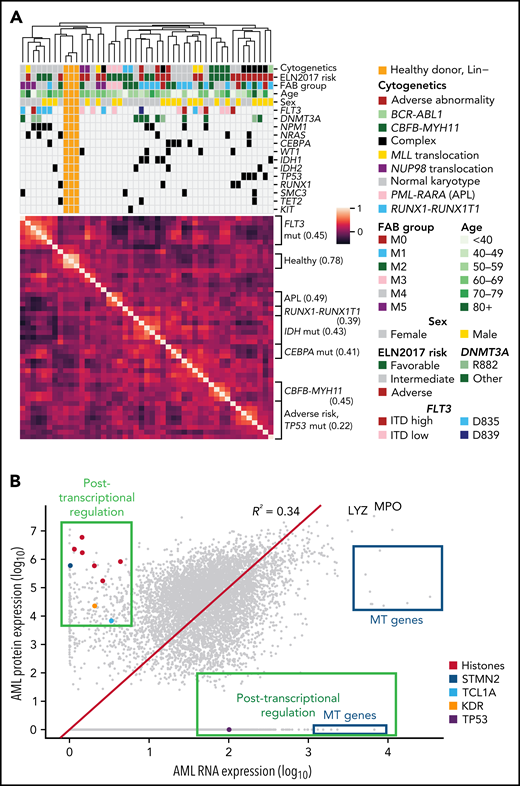 Protein expression levels are often correlated with clinical features and reveal evidence for posttranscriptional regulation. (A) Unsupervised clustering of proteomic profiles, revealing distinct clusters of samples, many of which correlate with known molecular covariates, including cytogenetic alterations, FAB subgroups, and recurrent mutations. The heatmap shows a Pearson correlation of protein expression levels among all patients using TMT proteomic measurements. Clustering was based on the unweighted pair group method with arithmetic mean algorithm, with similarity scores as shown in the heatmap. Brackets on the side of the heatmap indicate subgroups with shared clinical or molecular features; the value in parentheses indicates the mean Pearson correlation among members of that subgroup. (B) Mean log10 expression values of protein and RNA abundance for 7916 proteins measured in the bone marrow samples of 44 de novo, primary AML patients at time of diagnosis. RNA expression was quantified using transcripts per million from RNA sequencing after log10 transformation. Protein expression was measured using LFQ tandem mass spectrometry with normalized precursor ion intensities representing protein abundance after log10 transformation. The red line shows a line of best fit using linear regression with no intercept. Proteins displaying evidence for posttranscriptional regulation (high protein expression with low RNA expression or vice versa) are boxed in green and include the labeled histones H1-3, H1-4, H1-5, H2AC21, H3C1, and H3C15, as well as STMN2, the AKT co-activator/oncogene TCL1A, the protein tyrosine kinase receptor KDR, and the key tumor suppressor TP53. High protein, low RNA green box includes proteins with at least half of the maximal protein expression detected (log10 scale) and at most 15% of the maximal RNA expression. High RNA, low protein green box includes proteins with <25% of the maximal protein expression and at least median RNA expression. All proteins in the blue boxes are mitochondrially (MT) encoded and have lower-than-expected protein expression values as predicted by RNA expression. LYZ and MPO are known highly abundant proteins in myeloid cells. mut, mutant.