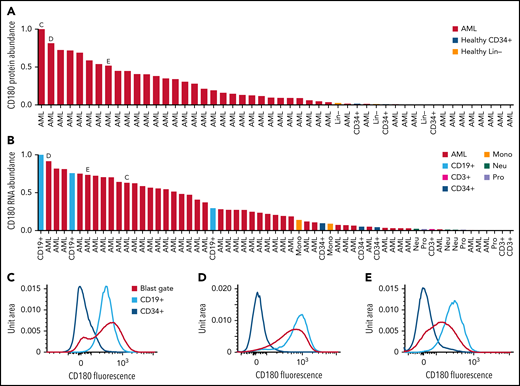 CD180 and MRC1 are highly expressed on AML blasts from some patients but not on CD34 stem/progenitor cells. (A) Normalized protein abundance of CD180 in LFQ data for AML patient bone marrow samples, lineage-depleted bone marrow from healthy donors (Healthy Lin−), and CD34-selected bone marrow from healthy donors (Healthy CD34+). (B) Normalized RNA abundance of CD180 in AML patient samples and the indicated cell types purified from healthy donor bone marrow samples. In both panels A and B, the letters C, D, and E indicate patient samples selected for flow cytometry as shown in the indicated panels. (C-E) Flow cytometry results with staining for CD180 on both AML cells in the blast gate and CD19+ B cells (cells that normally express CD180, as a positive control) in the indicated patient samples. Staining of CD34+ cells from healthy donor marrow is also shown. (F) Normalized protein abundance of MRC1 in LFQ data for AML patient bone marrow samples, lineage-depleted bone marrow cells from healthy donors (Healthy Lin−), and CD34-enriched bone marrow cells from healthy donors (Healthy CD34+). (G) Normalized RNA abundance of MRC1 in AML patient samples, and the indicated cell types from healthy donor bone marrow, are shown. In both panels F and G, the letters H, I, and J indicate patient samples selected for flow cytometry and are shown in the indicated panels. (H-J) Flow cytometry results with staining for MRC on AML cells in the blast gate in the indicated patient samples. Staining of CD34+ cells and monocytes (cells that normally express MRC1, as a positive control) is shown from healthy donor marrow.