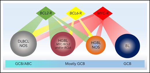 Biological features of aggressive B-cell lymphomas and relationship to cell of origin derivation. Aggressive B-cell lymphomas comprise a spectrum of diseases ranging from DLBCL-NOS to HGBL to BL. While all cases of BL harbor a MYC rearrangement and all cases of HGBL-DH/THL harbor MYC and BCL2 and/or BCL6 rearrangements, other cases with high-grade morphology harbor varying combinations of rearrangements. BL is derived from a germinal center B-cell (GCB) origin and most HGBL cases are also of GCB derivation; DLBCL-NOS may be of GCB or ABC origin.