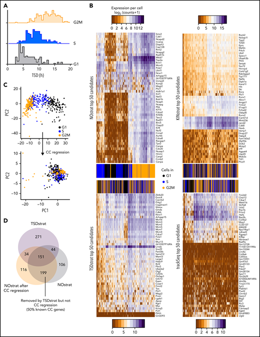 TSDstrat removes CC-dependent confounder genes, which are not recognized by current transcriptome-based approaches. (A) CC progression can be transcriptionally inferred and corrected with regression by the R library Seurat. These inferred CC phases correlate with TSD. (B) TSDstrat removes effects of CC heterogeneity from candidate identification. Heatmap of top 50 NOstrat, TSDstrat, KINstrat, and trackSeq candidates’ expression per cell. Only NOstrat columns and rows cluster for CC progression. Thus, TSD sufficiently controls for CC heterogeneity. (C) Principal component (PC) analysis of scRNA-Seq profiles before and after CC regression. (D) TSDstrat removes different and more CC-dependent genes than CC regression.
