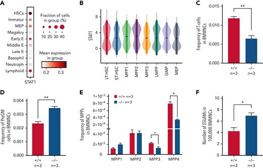 Loss of STAT1 affects the stem and progenitor compartment in steady-state hematopoiesis. (A) Dot plot showing normalized STAT1 expression in cell types across the Dahlin landscape. The size of each dot indicates the proportion of cells with normalized expression level >0, and the color intensity shows the levels of STAT1 expression. (B) Violin plots showing normalized STAT1 expression in immature cell types in Nestorowa’s scRNA-seq dataset. Mean ± standard deviation indicated in overlaid box. (C) The frequency of T cells was reduced in STAT1-deficient bone marrow. (D) The frequency of pre-granulocyte-macrophage progenitors (PreGM) was increased in STAT1-deficient bone marrow. Flow cytometry was performed, and PreGM progenitors were defined as Lin−Sca1−cKit+CD41−CD16/32−CD105−CD150−. (E) The frequencies of MPP3 and MPP4 were reduced in STAT1-deficient bone marrow. Flow cytometry was performed, and multipotent progenitor MPPs were defined as the following: MPP1 (Flk2−CD150+CD48−LSK), MPP2 (Flk2−CD150+CD48+LSK), MPP3 (Flk2−CD150−CD48+LSK), and MPP4 (Flk2+CD150−CD48+LSK). (F) The frequency of ESLAM HSCs was increased in STAT1-deficient mice. Bone marrow ESLAM HSCs were defined as CD45+CD150+CD48−EPCR+ cells. Data are shown as mean ± standard error; asterisks indicate significant differences by Student t test (∗P < .05; ∗∗P < .01).