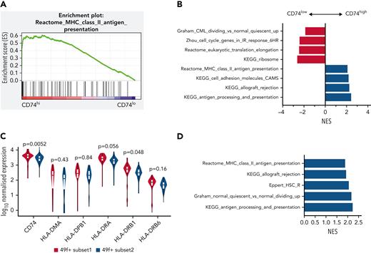MHCII high expression marks a subset of HSCs in a deeper quiescent state in human. (A) Enrichment plot of Reactome: MHC Class II Antigen Presentation from GSEA analysis of human CB LT-HSCs comparing the top 30% of CD74 expression (CD74hi) and bottom 30% of CD74 expression (CD74lo). (B) Selected biological pathways (c2 curated pathways; FDR < 0.05) from preranked GSEA of human CB LT-HSCs with top 30% CD74 expression (CD74hi) compared with bottom 30% CD74 expression (CD74lo) (50 cells) from Belluschi et al.55 (C) Normalized expression of key MHCII regulators; FDR for differential expression between 49f+ Subset1 and 49f+ Subset2 as determined by DESeq2 shown. (D) Selected biological pathways (c2 curated pathways; FDR < 0.05) enriched in preranked GSEA analysis of 49f+Subset1 (CD34lo/C9Ahi) and 49f+Subset2 (CD34hi/C9Alo) from Belluschi et al.55 FDR, false discovery rate; NES, normalized enrichment score.