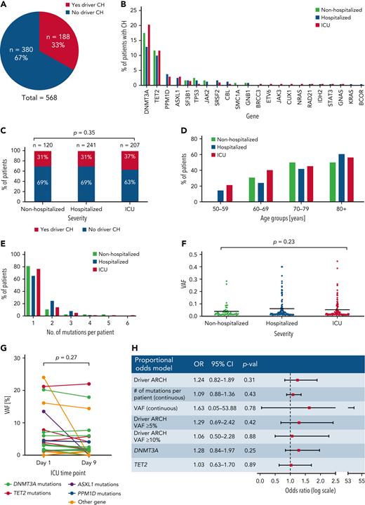 Investigation of the impact of clonal hematopoiesis on COVID-19 disease severity. (A) Proportion of patients carrying at least 1 driver CH mutation in all 3 COVID-19 patient cohorts combined. (B) Distribution of CH driver mutations by gene in nonhospitalized, hospitalized, and ICU patients. (C) Proportion of patients carrying at least 1 driver mutation in nonhospitalized, hospitalized, and ICU COVID-19 patients. P value was calculated using χ2 test. (D) Proportion of patients at least 1 CH driver mutation in nonhospitalized, hospitalized, and ICU COVID-19 patients across different age groups. (E) Number of CH driver mutations per patient in nonhospitalized, hospitalized, and ICU COVID-19 patients. (F) VAF distribution of CH driver mutations in nonhospitalized, hospitalized, and ICU COVID-19 patients. P value is calculated using 1-way analysis of variance. (F) Driver CH mutation gene distribution in nonhospitalized, hospitalized, and ICU COVID-19 patients. (G) VAF of driver CH mutations on day 1 and day 9 of ICU admission in individual patients. P value is calculated using t test. (H) Multivariate proportional odds model shows that the presence of CH, number of mutations per patient, VAF, CH mutation of ≥ 5% VAF, CH mutation of ≥ 10% VAF, DNMT3A mutation, and TET2 mutation are not associated with an increased risk of COVID-19 hospitalization and ICU admission. Age, sex, ethnicity, diabetes, chronic obstructive pulmonary disease/asthma, CVD, cancer/neoplasm, immunodeficiency, and smoking status were adjusted for.
