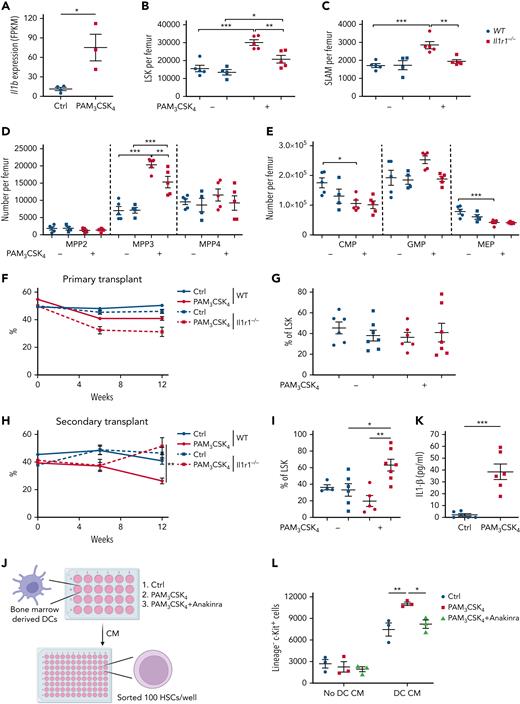 Abrogation of IL-1 signaling attenuates TLR1/2 agonist-induced multipotent HSPC expansion. (A) DCs were sorted from the bone marrow of Cx3cr1gfp/+ mice treated with one dose of 100 μg PAM3CSK4, and RNA-sequencing was performed. Expression of selected inflammatory cytokines/chemokines is shown. LSK (B) or LSK-SLAM (C) cell number per femur. (D) Number of multipotent progenitor-2 (MPP2), MMP3, and MMP4 per femur. (E) Number of common myeloid progenitors (CMPs), GMPs, and megakaryocyte-erythroid progenitors (MEPs) per femur. (F) Bone marrow cells from wild-type (WT) or Il1r1−/− (Ly5.2) mice treated with vehicle alone (Ctrl) or PAM3CSK4 were transplanted along with an equal number of WT competitor (Ly5.1) bone marrow. Shown is the percentage of Ly5.2 donor chimerism in peripheral blood. (G) LSK Ly5.2 donor chimerism 12 weeks after transplantation. (H) Peripheral blood Ly5.2 donor chimerism after secondary transplantation. (I) LSK Ly5.2 donor chimerism 12 weeks after secondary transplantation. (J) CM from bone marrow–derived DC cultures stimulated with vehicle alone (Ctrl), PAM3CSK4 (10 ng/mL) alone, or PAM3CSK4 with anakinra (1 μg/mL) was prepared. HSCs (LSK-SLAM cells) were sorted into the different DC CM and cultured for 7 days with supportive cytokines. (K) IL-1β protein level in DC CM. (L) Number of lineage-negative (CD11b– Gr1–) Kit+ cells on day 7 of culture. Data represent the mean ± standard error of the mean. Statistical significance determined by using unpaired t-test (panels A and K), two-way analysis of variance (panels B-E and L), and one-way analysis of variance (panels G and I). ∗P < .05, ∗∗P < .01, ∗∗∗P < .001.