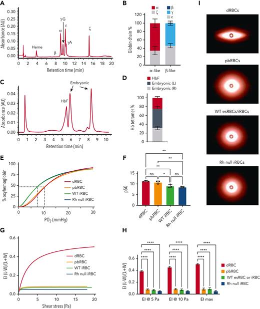 Rh null iRBCs have comparable O2 binding capacity and deformability compared with WT iRBCs. (A) Representative and (B) quantification of alpha-like and beta-like globin chain analysis of day 12 iRBCs by HPLC (n = 5 independent assays). (C) Representative and (D) quantification of hemoglobin tetramer analysis of day 12 iRBCs by HPLC. (n = 5). (E) O2 dissociation curve of adult dRBCs, PB-RBCs, WT and Rh null iRBCs. (F) The partial pressure of O2 at 50% oxyhemoglobin (p50) interpolated from Sigmoidal 4PL curves of each type of RBC (n = 3 each, one-way ANOVA), ∗P < .05; ∗∗P < .01. (G) Average elongation indices of dRBCs, PB-RBCs, and WT or Rh null iRBCs determined by Lineweaver-Burk fitting for ektacytometry (n = 6 dRBCs, n = 3 for all others). (H) Elongation indices at 5 Pa, 10 Pa, and maximum elongation (n = 6 dRBCs, n = 3 for all others, two-way ANOVA), ∗∗∗∗P < .0001. (I) Representative images of fully “stretched” dRBCs, pbRBCs, and iRBCs obtained on the RheoScan AnD system. ANOVA, analysis of variance; HbF, fetal hemoglobin; O2, oxygen; Pa, Pascal; PB-RBCs, peripheral blood CD34+ cultured RBCs; WT, wild type.