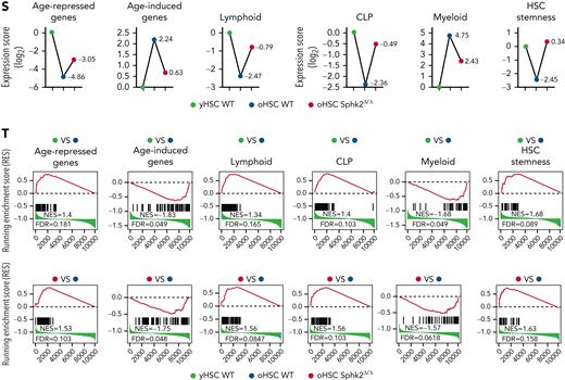 Sphk2 deletion prevents the accumulation of HSC aging phenotypes. (A) Western blots (left) and quantification analyses (right) of Sphk2 expression in yHSCs and oHSCs. β-Actin was used as a loading control; 1# and 2# indicated 2 individual mice (n = 4 mice, 2 replicates were presented, and 4 replicates were quantified). (B) Western blots (left) and quantification analyses (right) of Sphk2 expression in the HSC subpopulations from 22- to 24-month-old mice as indicated. β-Actin was used as a loading control (n = 1-2 mice per replicate). (C) The absolute number of HSC subpopulations from 22- to 24-month-old Sphk2Δ/Δ or control mice (n = 7 mice per group). (D–F) The frequency of (D) cell cycle, (E) γH2AX+ cells, and (F) Cell ROX Deep (ROShigh) cells in HSCs from 22- to 24-month-old Sphk2Δ/Δ or control mice (WT n = 8 mice and Sphk2Δ/Δ n = 7 mice). (G) PB analysis for the percentage of B, T, and myeloid lineage cells from young or old Sphk2Δ/Δ or control mice as indicated (2-month-old WT n = 5 mice, 22- to 24-month-old WT n = 8 mice, and 22- to 24-month-old Sphk2Δ/Δ n = 7 mice). (H) Scheme for quantification of functional HSCs by transplantation assay. A total of 2 × 105 BM cells from 22- to 24-month-old Sphk2Δ/Δ or control mice were transplanted into irradiated mice along with 2 × 105 recipient BM cells. A total of 1 × 106 BM cells from primary recipient mice were transplanted into irradiated mice in secondary transplantation. (I,K) PB analysis for total engrafted donor cells at the indicated number of weeks after transplantation and (J,L) the percentage of donor-derived B, T, and myeloid lineage cells at 16 weeks after transplantation (primary transplantation n = 6-8 mice per group, secondary transplantation WT n = 3-4 mice, and Sphk2Δ/Δ n = 5-6 mice). 1°, primary transplantation; 2°, secondary transplantation. (M) Experimental strategy and (N) Western blots for Sphk2 overexpression in yHSCs. (O) PB analysis for total engrafted donor cells at the indicated number of weeks after transplantation and (P) the percentage of donor-derived B, T, and myeloid lineage cells at 16 weeks after transplantation (vector n = 5 mice and Sphk2 OE n = 5 mice). Overexpression (OE). (Q) t-SNE plot depicting the distribution of yHSCs, oHSCs from WT mice, or oHSCs from Sphk2Δ/Δ mice (oHSC Sphk2Δ/Δ) as indicated. (R) Heatmap, (S) gene expression score, and (T) signature enrichment plots from GSEA for age-repressed, age-induced, lymphoid, CLP, myeloid, and HSC stemness genes in yHSCs, oHSCs, and Sphk2Δ/Δ oHSCs. yHSCs indicate SLAM HSCs obtained from 2-month-old mice. oHSCs indicate SLAM HSCs obtained from 22- to 24-month-old mice. Data represented as mean ± standard deviation. Two-tailed Student t tests were used to assess statistical significance. ∗P < .05, ∗∗P < .01, and ∗∗∗P < .001. One-way ANOVA with Tukey's multiple comparison post hoc test, †P < .05, ††P < .01, and †††P < .001. N.S., not significant.