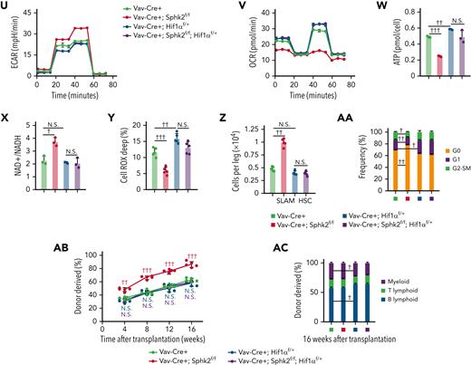 Sphk2 deletion increases hypoxic response and metabolic fitness in HSCs. (A) Enriched pathways of differentially expressed genes in HSCs from Sphk2Δ/Δ or control littermates. The enriched P value is derived from Fisher's exact test. (B) Signature enrichment plots from GSEA using glycolysis and oxidative phosphorylation gene sets in HSCs from WT control mice or Sphk2Δ/Δ mice. (C-K) (C) Relative glucose uptake, (D) relative intracellular pyruvate concentration, (E) lactate production, (F) lactate dehydrogenase (LDH) activity, (G) extracellular acidification rate (ECAR), (H) oxygen consumption rate (OCR), (I) intracellular ATP concentration, (J) intracellular NAD+/NADH ratio, and (K) Cell ROX Deep (ROShigh) cells in HSCs from Sphk2Δ/Δ or control mice (C-J: n = 5 mice in 3 replicates; K: n = 5 mice). (L) Relative HIF activity in HSCs from Sphk2Δ/Δ or control mice. The relative expression values of 64 differentially expressed HIF targeted genes are presented. Each dot represents the mean level of 3 replicates (n = 3 mice per genotype). (M) Relative expression of hypoxia response genes in HSCs from Sphk2Δ/Δ or control mice under hypoxia or normoxia culture for 24 hours (n = 5 mice in 3 replicates). (N-P) (N) Western blots, (O) quantification of HIF1α and Sphk2 protein expression, and (P) relative expression of hypoxia response genes in sorted HSCs from indicated mice under hypoxia culture for 24 hours (n = 5 mice in 3 replicates). (Q-Y) (Q) Relative glucose uptake, (R) relative intracellular pyruvate concentration, (S) lactate production, (T) LDH activity, (U) ECAR, (V) OCR, (W) intracellular ATP concentration, (X) intracellular NAD+/NADH ratio, and (Y) Cell ROX Deep (ROShigh) cells in HSCs from indicated mice (Q-X: n = 5 mice in 3 replicates; Y: n = 5 mice). (Z-AA) The (Z) absolute number and (AA) cell cycle of HSCs from indicated mice (n = 5 mice per group). (AB-AC) One hundred purified HSCs from indicated donor mice were transplanted into irradiated mice with 2 × 105 recipient BM cells. (AB) PB analysis for total engrafted donor cells at the indicated number of weeks after transplantation and (AC) percentage of donor-derived B, T, and myeloid lineage cells at 16 weeks after transplantation (n = 5 mice per group). Data represented as mean ± standard deviation. Two-tailed Student t tests were used to assess statistical significance. ∗P < .05, ∗∗P < .01, and ∗∗∗P < .001. One-way ANOVA with Tukey's multiple comparison post hoc test, †P < .05, ††P < .01, and †††P < .001. N.S., not significant.
