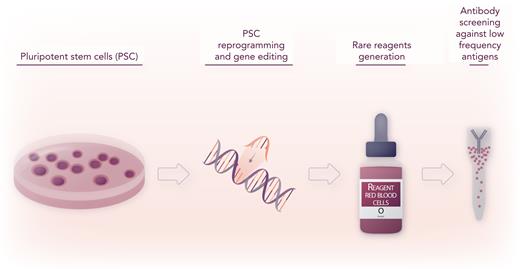 Pluripotent stem cell reprogramming and gene editing can generate rare reagents for precision identification of antibodies against low-prevalence antigen variants. Professional illustration by Somersault18:24.