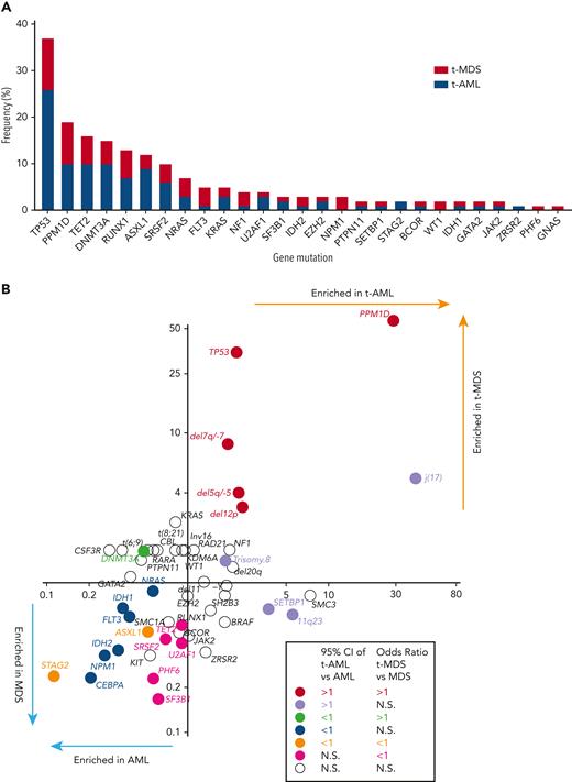 Cancer gene mutations in t-MNs. (A) The frequency of cancer gene mutations detected in at least 1% of the studied cohort. Stacked bar graph shows the share of the mutations detected in t-AML and t-MDS each. (B) Mutation enrichment against 4 disease subtypes (t-AML, t-MDS, AML, and MDS). Enrichment is measured by OR for t-AML vs AML in x-axis and t-MDS vs MDS in y-axis. Statistically significant enrichment based on OR of 95% CI is highlighted by colors. CI, confidence interval.