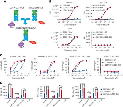 Design and characterization of CD19/CD22/CD3 (CC). (A) Schematic structure of CD19/CD22/CD3 (CC) by fusing FMC63 to the C-terminus of SP34 HC and Nb25 to the C-terminus of SP34 LC based on the CD19/CD3 HCT and CD22/CD3 LCT formats. (B) Binding profiles of CD19/CD22/CD4 (CC) and the corresponding bsAbs to CD19- and CD22-expressing K562 cells, parental K562 cells, and T cells were detected by flow cytometry in triplicate. The mean ± SD of the mean fluorescence intensity (MFI) obtained from 3 independent experiments is indicated. ND, not determined. (C) Cytotoxicity comparison of CD19/CD22/CD3 (CC) and the corresponding bsAbs against Nalm6, Nalm6-KO19, and Nalm6-KO22 cell lines after 24 hours of incubation with expanded T cells at an E:T ratio of 1:1. Experiments were performed in triplicate and repeated 3 times with similar results. (D) Inflammatory cytokines (IL-2, IFN-γ, and TNF-α) released from T cells cocultured with the indicated target cells in the presence of antibodies (100 pM) for 24 hours at an E:T ratio of 1:1 in triplicate. Data are presented as the means ± SDs from 3 independent experiments, and statistical significance was calculated using the Newman‒Keuls multiple comparison test: ∗P < .05, ∗∗P < .01, and ∗∗∗P < .001; ns, not statistically significant (≥.05).