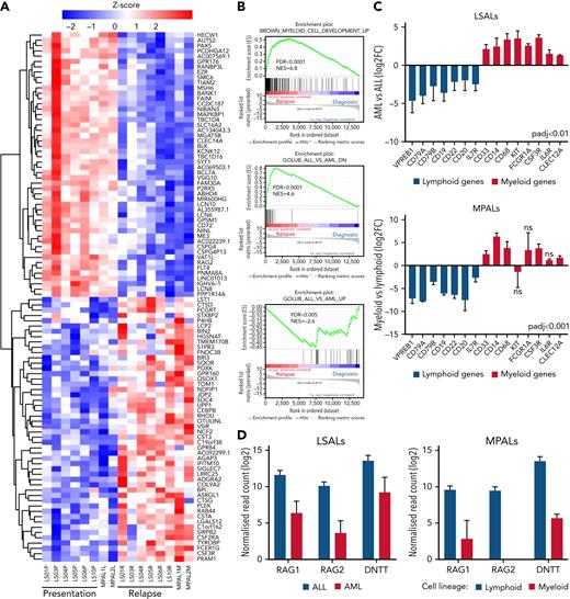 Transcriptional reprogramming in lineage-switched and MPAL cases. (A) Heat map showing the top 100 differentially expressed genes between ALL and AML from 6 lineage-switched (LS01, LS03, LS04, LS05, LS06, and LS10) and 2 MPAL cases, ranked by Wald statistics. (B) Enrichment of myeloid growth and differentiation signature in relapse samples (left) identified by gene set enrichment analyses (GSEA), also pointing to downregulation of genes highly correlating with acute lymphoblastic leukemia (middle and right). GSEAs were performed based on data derived from 6 lineage-switched samples. FDR, false-discovery rate; NES, normalized enrichment score. Differential expression of lineage-specific (C) and immunoglobulin recombination machinery genes (D) in lineage-switched and MPAL cases. Error bars show standard error of the mean for lineage-switched cases and ranges for 2 MPAL cases.