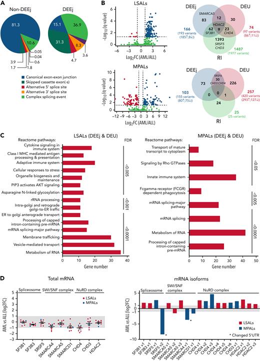 Alternative splicing in lineage-switched and MPAL cases. (A) Pie charts showing the classification of nondifferential (non-DEEj) and differential (DEEj) exon-exon junctions. Shown are the percentages of splicing events assigned to a particular mode of splicing. A complex splicing event corresponds to several (2 or more) alternative splicing incidents occurring simultaneously in the same sample. (B) Volcano plots demonstrating differential usage of exon-exon junctions in the transcriptome of AML/myeloid vs ALL/lymphoid cells of cases of lineage switching (LS01, LS03, and LS04) or MPAL. The vertical dashed lines represent twofold differences between the AML and ALL cells, and the horizontal dashed line shows the FDR-adjusted q-value threshold of .05 (left). Venn diagrams (right) showing distribution of splice variants identified as significantly changed in AML (or myeloid fraction of patients with MPAL), including DEEjs, differential exon usage (DEU), and retained introns (RI). (C) Enrichment analysis of affected signaling pathways by the DEEjs and DEU in the lineage-switched acute leukemia (LSAL) AML relapse and myeloid compartment of patients with MPAL. Pathway enrichment analysis was performed with g:Profiler (https://biit.cs.ut.ee/gprofiler/gost) at the highest significance threshold, with multiple-testing correction (g:SCS algorithm). (D) Fold log2 change of total transcript levels among genes affected by alternative splicing (left) and of differentially spliced variants in lineage-switched and myeloid compartments of patients with MPAL (right). (E) Representation of impact of alternative splicing on mRNA composition and open reading frames (ORFs) of select genes. Column graphs on the right indicate corresponding fold changes of variant expression between AML (or myeloid) and ALL (or lymphoid) populations in 2 tested lineage-switched cases (LS03 and LS04) and 1 case of MPAL.