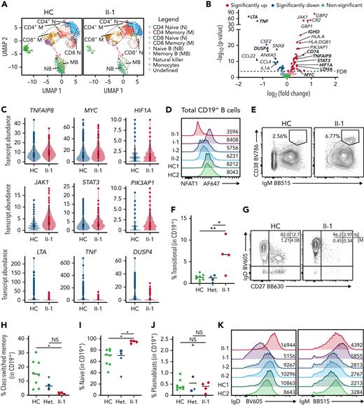 NFAT1-deficient patient has an accumulation of hyperproliferative naïve B cells. (A-C) scRNA-seq of PBMCs from the patient (II-1), heterozygous controls (n = 3), and healthy control (n = 2) stimulated with P/I for 4 hours. (A) Uniform manifold approximation and projection (UMAP) visualization of stimulated cell subsets. Cell labels indicated on right. (B) Volcano plot showing DE in naïve B cells between patient and 5 healthy controls. Dark colors, significance; dim colors, nominal significance but not after adjusted P value; green, not significant. (C) Violin plots of significantly differentially expressed genes of interest in naïve B cells comparing patient and healthy controls. (D) Expression of NFAT1 in patient and control naïve B cells. Mean fluorescence intensities (MFIs) are indicated. (E) Frequency of IgM++CD38++ transitional B cells in the patient (II-1) and heterozygous (n = 4) and healthy controls (n = 8). (F) Quantification of E. (G) Frequency of IgD+CD27− naïve (marked as “N”) and IgD−CD27+ memory (marked as “M”) B cells in the patient and one representative control. Schematic of quadrants that correspond to each cell population and frequency shown at top right. (H-I) Quantification of G. (J) Frequency of CD27+CD38+ plasmablasts in mature CD19+ B cells. (K) IgD and IgM expression in each individual. Mean fluorescence intensities are indicated. (L) Frequency of Ki67+ naïve B cells in the patient and a representative control. (M) Quantification of L. (N) Frequency of TNF-α+ naïve B cells in the patient and a representative control. (O) Quantification of N. (P-Q) Isolated naïve B cells from patient and heterozygous (n = 1) and healthy controls (n = 6) expanded for 6 days. (P) Frequency of class-switched memory B cells and (Q) plasmablasts before and after expansion. ∗P < .05, ∗∗P < .01, one-way analysis of variance and Tukey’s post hoc test. NS, not significant. Green circles, healthy control; blue circle, II-2; blue upright triangle, I-2; blue inverted triangle, I-1; blue square, II-3; red diamond, II-1.