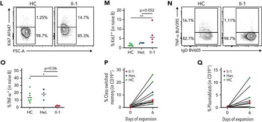 NFAT1-deficient patient has an accumulation of hyperproliferative naïve B cells. (A-C) scRNA-seq of PBMCs from the patient (II-1), heterozygous controls (n = 3), and healthy control (n = 2) stimulated with P/I for 4 hours. (A) Uniform manifold approximation and projection (UMAP) visualization of stimulated cell subsets. Cell labels indicated on right. (B) Volcano plot showing DE in naïve B cells between patient and 5 healthy controls. Dark colors, significance; dim colors, nominal significance but not after adjusted P value; green, not significant. (C) Violin plots of significantly differentially expressed genes of interest in naïve B cells comparing patient and healthy controls. (D) Expression of NFAT1 in patient and control naïve B cells. Mean fluorescence intensities (MFIs) are indicated. (E) Frequency of IgM++CD38++ transitional B cells in the patient (II-1) and heterozygous (n = 4) and healthy controls (n = 8). (F) Quantification of E. (G) Frequency of IgD+CD27− naïve (marked as “N”) and IgD−CD27+ memory (marked as “M”) B cells in the patient and one representative control. Schematic of quadrants that correspond to each cell population and frequency shown at top right. (H-I) Quantification of G. (J) Frequency of CD27+CD38+ plasmablasts in mature CD19+ B cells. (K) IgD and IgM expression in each individual. Mean fluorescence intensities are indicated. (L) Frequency of Ki67+ naïve B cells in the patient and a representative control. (M) Quantification of L. (N) Frequency of TNF-α+ naïve B cells in the patient and a representative control. (O) Quantification of N. (P-Q) Isolated naïve B cells from patient and heterozygous (n = 1) and healthy controls (n = 6) expanded for 6 days. (P) Frequency of class-switched memory B cells and (Q) plasmablasts before and after expansion. ∗P < .05, ∗∗P < .01, one-way analysis of variance and Tukey’s post hoc test. NS, not significant. Green circles, healthy control; blue circle, II-2; blue upright triangle, I-2; blue inverted triangle, I-1; blue square, II-3; red diamond, II-1.