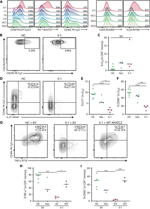 NFAT1 deficiency is associated with impaired TFHfunction. (A) Expression of activation markers in CD4+ memory T cells after P/I treatment, including CD69, PD-1, CD40L, CD25, and ICOS. Mean fluorescence intensities are indicated. (B) Frequency of circulating TFH cells in PD-1+ memory CD4+ T cells in the patient and a representative control. (C) Quantification of B. (D) CD40L and IL-21 expression in patient and control cTFH cells after 4 hours of P/I stimulation. (E-F) Quantification of D. (G) Frequency of CD40L+ and TNF-α+ GFP+ CD4+ patient or control memory T cells after 4 hours of P/I stimulation of EV or WT NFATC2 transduction. (H-I) Quantification of G. ∗P < .05, ∗∗P < .01, ∗∗∗P < .001, ∗∗∗∗P < .0001, one-way analysis of variance and Tukey’s post-hoc test. NS, not significant. Green circles, healthy control; blue circle, II-2; blue upright triangle, I-2; blue inverted triangle, I-1; blue square, II-3; red/purple diamond, II-1.