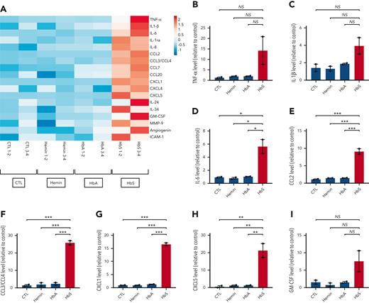 Main cytokines and chemokines produced by human monocytes in response to HbS. (A) Heat map representation (linear scale color bar) of the main cytokines/chemokines secreted by human monocytes from healthy donors (n = 4) after incubation with HbS (20 μM), HbA (20 μM), hemin (20 μM), or control for 18 hours. Presented cytokines/chemokines (n = 18 out of 105) are those with a >1.5–increased level in the cell culture supernatant (measured in pooled samples with a membrane-based antibody array, n = 2 per group) after incubation with HbS compared with HbA. (B-I) Relative level of TNF-α (B), IL-1β (C), IL-6 (D), CCL2 (E), CCL3/CCL4 (F), CXCL1 (G), CXCL5 (H), and GM-CSF (I) in the culture medium. ∗∗∗P < .001; ∗∗P < .01; ∗P < .05 by one-way ANOVA.