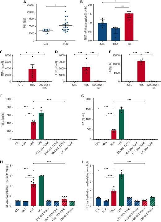 Monocyte activation by HbS is mediated by TLR4. (A) Surface expression of TLR4 on human monocytes from patients with SCD (n = 19) and controls (n = 10), measured by flow cytometry. (B) mRNA expression (relative to β-actin and compared with control) of TLR4 by human monocytes from healthy blood donors (n = 5), in culture with HbS (20 μM) or HbA (20 μM), after 4 hours (n = 5 per group). (C-E) Levels of TNF-α (C), IL-1β (D), and IL-6 (E) in the cell culture supernatant of human monocytes from healthy blood donors (n = 4), in culture with HbS (20 μM), HbS (20 μM) with the TLR4 inhibitor TAK-242 (1 μM) added to culture medium 1 hour before HbS, or control, after 18 hours (n = 4 per group). (F-G) Levels of TNF-α (F) and IL-6 (G) in the cell culture supernatant of THP1-Dual and THP1-Dual KO-TLR4 cells in culture with HbA (20 μM), HbS (20 μM), LPS (0.1 μg/mL), or control, after 18 hours (n = 3 per group). (H-I) The NF-κB pathway activation level (H) and type I interferon pathway activation level (I) relative to control, of THP1-Dual and THP1-Dual KO-TLR4 cells in culture with HbA (20 μM), HbS (20 μM), LPS (0.1 μg/mL), or control, after 18 hours (n = 6 per group). ∗∗∗P < .001; ∗P < .05 by Mann-Whitney test (A) or one-way ANOVA (B-I). MFI, mean fluorescence intensity.