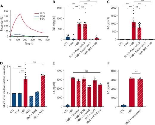 HbS interacts with the TLR4/MD-2 complex and is responsible for TLR4-mediated monocyte activation, independently of LPS, ROS, NO, or heme. (A) SPR analysis of the binding between HbS (50 nM), HbA (50 nM), or BSA (200 nM) and the TLR4/MD-2 complex. (B-C) Levels of TNF-α (B) and IL-6 (C) in the cell culture supernatant of human monocytes from healthy blood donors (n = 9), in culture with HbA (20 μM), HbS (20 μM), HbS (20 μM) pretreated with polymyxin B (100 μg/mL) for 2 hours, HbS (20 μM) pretreated with proteinase K (5 mg/mL) at 37°C for 3 hours, HbS (20 μM) with TAK-242 (1 μM) added to culture medium 1 hour before HbS, or control, after 18 hours (n = 3 to 9 per group). (D) NF-κB activation level of THP1-Blue cells in culture with HbA (20 μM), HbS (20 μM), NAC (50 μM), HbA (20 μM) with NAC (50 μM), HbS (20 μM) with NAC (50 μM), or control, after 18 hours (n = 3 per group). (E-F) IL-6 levels in the cell culture supernatant of human monocytes from healthy blood donors (n = 3), in culture with HbS (20 μM), HbS (20 μM) with catalase (500 U/mL), SOD (100 U/mL), L-NAME (5 mM), ODQ (100 μM), NONOate (1 mM), hemopexin (100 μg/mL), or control, after 18 hours (n = 3 per group). ∗∗∗P < .001 by one-way ANOVA. NO, nitric oxide; ROS, reactive oxygen species.