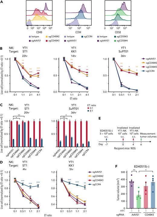 CD48 knockout renders ATLL cells resistant to YT1-mediated direct cytotoxicity. (A) Cell surface expression of CD48, CCR4, and CD58. Mean fluorescence intensity were evaluated in the sgRNA-transduced ST1 ATLL cells by flow cytometry. (B) Normalized live-cell numbers of sgRNA-transduced ATLL cells under the cocultivation with YT1. After the indicated incubation times, numbers of the live target ATLL cells were determined with flow cytometry by gating on propidium iodide− cells representing live cells and by gating on GFP+ cells representing sgRNA-transduced ATLL cells, which excluded GFP-negative effector YT1 cells. The number of beads normalized the number of live cells. The numbers at different E:T ratios were normalized by the one at the E:T ratio of 0:1. (C) Normalized live-cell numbers of sgCD58-transduced ATLL cells under the cocultivation with YT1. sgAAVS1-, sgCD48-, and sgCCR4-transduced ATLL cells are also shown for comparison. Data were obtained as shown in (B). (D) Normalized live-cell numbers of sgRNA-transduced ATLL cells under the cocultivation with YT1 in the presence of mogamulizumab. Data were obtained as shown in (B). (E) Schematic design of the animal study. (F) Tumor volume of irradiated YT1–NK-cell–treated or control tumors of ED40515(−) ATLL cells with sgAAVS1 or sgCD48#3 in NOG mice. Error bars represent the SEM of replicates. ∗P < .05, ∗∗P < .01, and ∗∗∗P < .001, Welch 2-sample t test. All experiments were repeated ≥2 times except for (F).