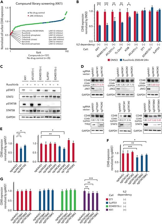 STAT5 regulates CD48 expression in IL2-dependent ATLL cells. (A-B) Normalized cell surface CD48 expression by flow cytometry on (A) KK1 cells treated with compound library (2.5 μM) for 24 hours and (B) ATLL cell lines treated with ruxolitinib (2.5 μM) or dimethyl sulfoxide for 24 hours. (C) Immunoblot analysis of pSTAT3, STAT3, pSTAT5B, and STAT5B in ATLL cells treated with ruxolitinib (2.5 μM) for 24 hours. (D) Immunoblot analysis of CD48, JAK1, JAK2, JAK3, TYK2, STAT3, and STAT5B in sgJAK1, sgJAK2, sgJAK3, sgTYK2, sgSTAT3, and sgSTAT5B-transduced KK1 cells. The quantification of CD48 immunoblot bands, normalized to GAPDH and compared with sgAAVS1 control cells, is shown below the CD48 immunoblot. (E-F) Normalized cell surface CD48 expression on (E) sgJAK1, sgJAK2, sgJAK3, and sgTYK2, and (F) sgSTAT3- and sgSTAT5B-transduced KK1 cells. (G) Normalized cell surface CD48 expression by flow cytometry on sgSTAT5B-transduced ATLL cells. Error bars represent the SEM of replicates. ∗P < .05, ∗∗P < .01, and ∗∗∗P < .001, Welch 2-sample t-test.
