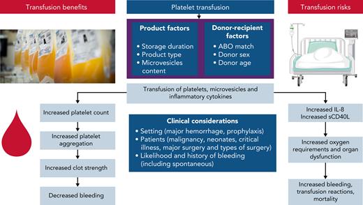 A summary of putative mechanisms underlying the potential benefits and risks of platelet transfusions. Product and donation characteristics that may modify the efficacy and safety of platelet transfusions include ABO matching between donor and recipient, processing methods (eg, pathogen reduction technology, and storage media), and storage duration. Platelet and leukocyte activation leads to accumulation of proinflammatory cytokines (IL-1, -6, and -8 and transforming growth factor-β), soluble CD40 ligand, and formation of microvesicles. Platelet microvesicles become more numerous and injurious during storage and may trigger a recipient reaction, mediated by their molecular cargo, resulting in further inflammatory cytokine release. Platelet microparticles may downregulate macrophages and impair the reactivity of dendritic cells.