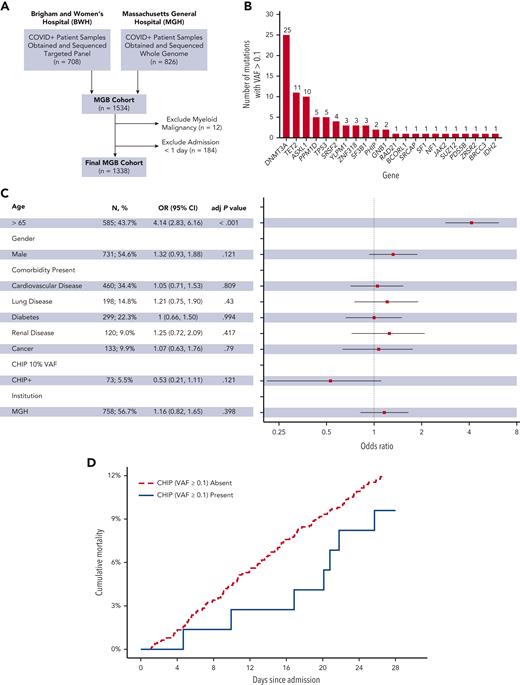 CHIP with VAF ≥ 0.1 is not associated with increased 28-day in-hospital mortality in primary cohort. (A) Generation of the primary MGH cohort. (B) Distribution of genes mutated in patients found to have CHIP with a VAF of 0.1 or greater in the MGB cohort. (C) Forest plot of multivariable analysis within MGB cohort (adj P value, adjusted P value). (D) Cumulative 28-day mortality among patients with and without CHIP (VAF ≥ 0.1) in the MGB cohort.