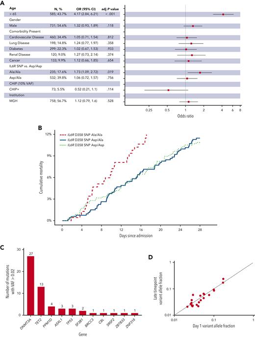 IL6R D358 SNP A/A is associated with increased 28-day in-hospital mortality in the primary cohort. (A) Forest plot of multivariable analysis within Massachusetts General Brigham (MGB) cohort (adj P value, adjusted P value). (B) Cumulative 28-day mortality among patients with IL6R D/D, D/A, and A/A in the MGB cohort. (C) Distribution of genes mutated in patients found to have CHIP with a VAF of 0.02 or greater in the tocilizumab cohort. (D) Comparison of mutant VAF between day 1 and late timepoint in serial samples from the tocilizumab cohort (see supplemental Figure 5).