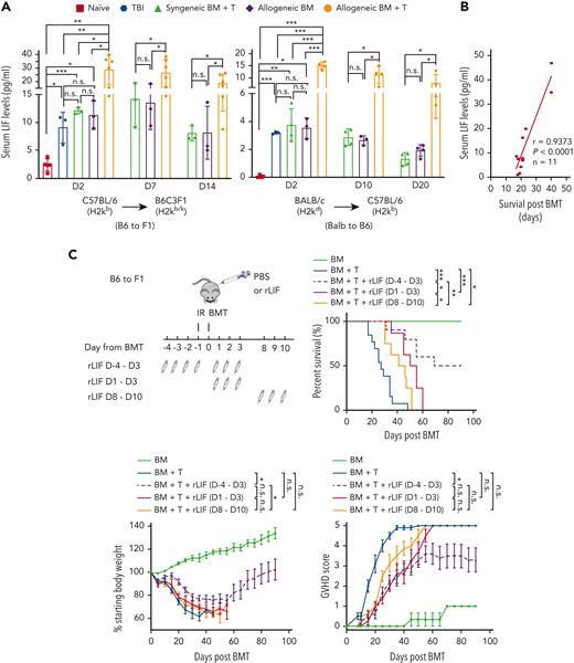 Administering rLIF ameliorates GVHD in mice. (A) Serum LIF levels in B6C3F1 (left) and C57BL/6 (right) mice at different days (D) after TBI (2 × 5.5 Gy), syngeneic BM + T, allogenic BM, and allogenic BM + T. n ≥ 3 mice/group (each dot represents a mouse). Serum LIF levels were measured by ELISAs. (B) The serum LIF levels at 2 days after allo-BMT were positively correlated with the survival length of mice after allo-BMT. B6C3F1 mice were exposed to 2 × 5.5 Gy TBI, followed by transplantation of BM and T cells from C57BL/6 mice. (C) Lethally irradiated B6C3F1 mice received BM alone (BM; n = 3), BM and T cells from C57BL/6 mice (BM + T; n = 13), or BM and T cells along with rLIF treatment (IP, 30 ng/g body weight, twice a day for the period as indicated) (BM + T + rLIF; n = 10 for D-4 to D3; n = 8 for D1 to D3 and D8 to D10). Schematic diagram of experimental procedures is shown on the upper left. Three panels shown are Kaplan-Meier survival curves (upper right), weight loss (lower left), and GVHD score (lower right) of mice after allo-BMT. (D) Lethally irradiated C57BL/6 mice received BM (n = 3), BM + T from BALB/c mice (n = 12), or BM + T + rLIF (n = 9). Mice were treated with rLIF as follows: IP, 30 ng/g body weight, twice a day for 7 days (D-4 to D3). Three panels shown are Kaplan-Meier survival curves (left), weight loss (middle), and GVHD score (right) of mice after allo-BMT. (E,F) Tissues from lethally irradiated B6C3F1 mice receiving C57BL/6 BM (n = 4), BM + T (n = 8) or BM + T + rLIF (n = 8). Tissues from these mice were collected at 14 days after allo-BMT for histopathologic analysis. (E) Representative hematoxylin and eosin–stained images of SI, colon, and liver tissues. (F) The clinical score was analyzed as described in Methods to reflect the histopathologic damage in different tissues. (G) Lethally irradiated C57BL/6 wild-type (n = 11) and LIF knockout (n = 7) mice received BM + T from BALB/c mice. Kaplan-Meier survival curves (upper) and GVHD score (lower) of mice after allo-BMT are presented. Data presented are from at least 3 independent experiments. (A,F) Data are presented as mean ± standard deviation; (C-D,G) data are presented as mean ± standard error of the mean. ∗P < .05, ∗∗P < .01, ∗∗∗P < .001, n.s.: not significant; unpaired t test with Welch’s correction (A,F), Spearman’s correlation (B), Kaplan-Meier survival analysis for survival, and analysis of variance for analysis of weight loss and GVHD score.