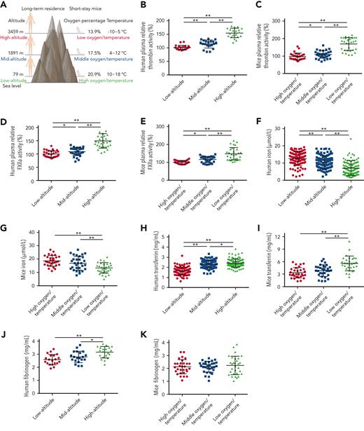 Enhanced thrombin and FXIIa activities, decreased iron levels, and elevated transferrin levels in plasma of long-term human residents and short-stay mice. (A) Graphical representation of plasma collection from long-term human residents and short-stay mice at different altitudes. (B-C) Relative enzymatic activity of thrombin in human (n = 20) (B) and mouse (n = 30) (C) plasma at different altitudes. (D-E) Relative enzymatic activity of FXIIa in human (n = 30) (D) and mouse (n = 30) (E) plasma at different altitudes. (F-G) Iron level in human (n = 111-128) (F) and mouse (n = 30) (G) plasma at different altitudes. (H-I) Transferrin concentration in human (n = 111-128) (H) and mouse (n = 30) (I) plasma at different altitudes. (J-K) Fibrinogen concentration in human (n = 20) (J) and mouse (n = 30) (K) plasma at different altitudes. Each experiment was independently repeated in triplicate. Data represent mean ± SD. Panels B, G, J, and K, ∗P < .05, ∗∗P < .01 by unpaired t test; panels C-F, H, and I, ∗P < .05, ∗∗P < .01 by Mann-Whitney U test.